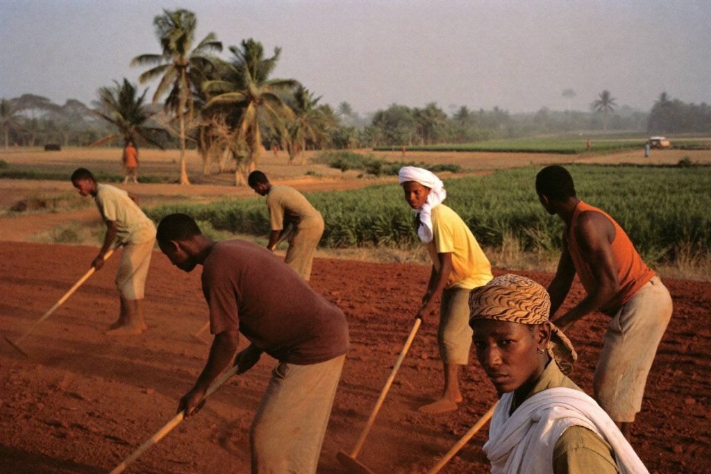 Placeholder — intended image: Monks at manual work on red Nigerian earth under morning sun