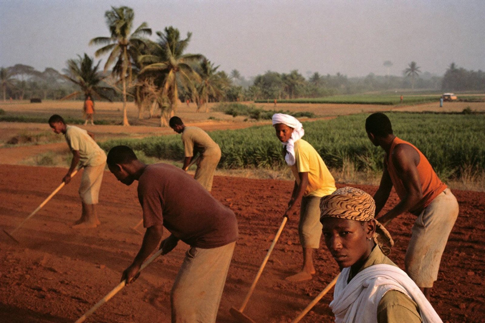 Placeholder — intended image: Monks at manual work on red Nigerian earth under morning sun