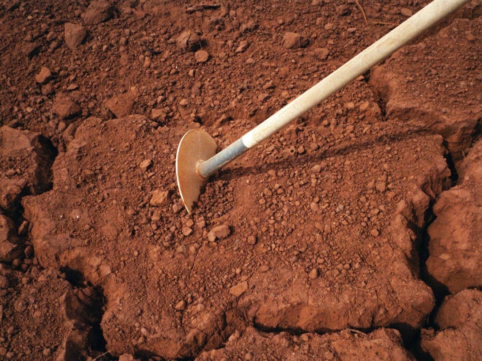 Placeholder — intended image: Hoe touching red Nigerian soil, close documentary crop, warm tones